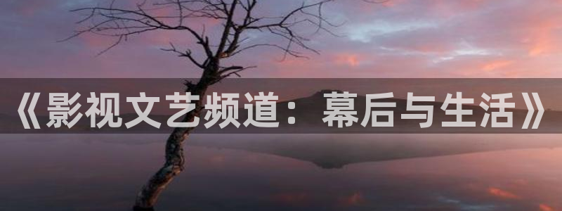 九七影视电影在线看：《影视文艺频道：幕后与生活》