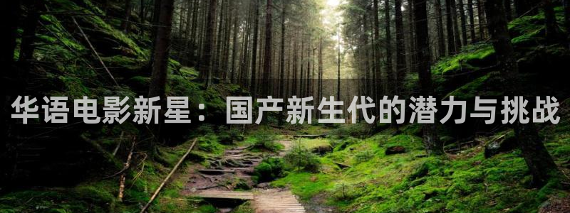 色九七电影院：华语电影新星：国产新生代的潜力与挑战