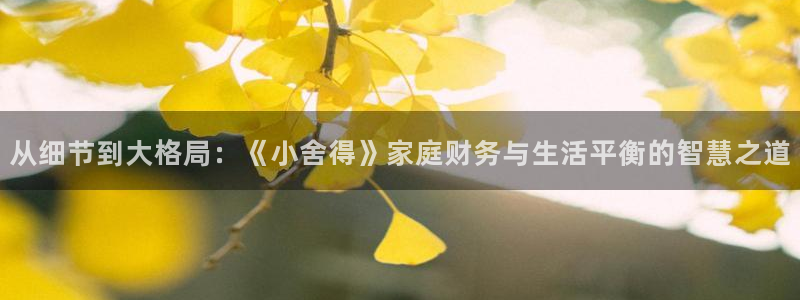 九七电影院网手机版：从细节到大格局：《小舍得》家庭财务与生活平衡的智慧之道