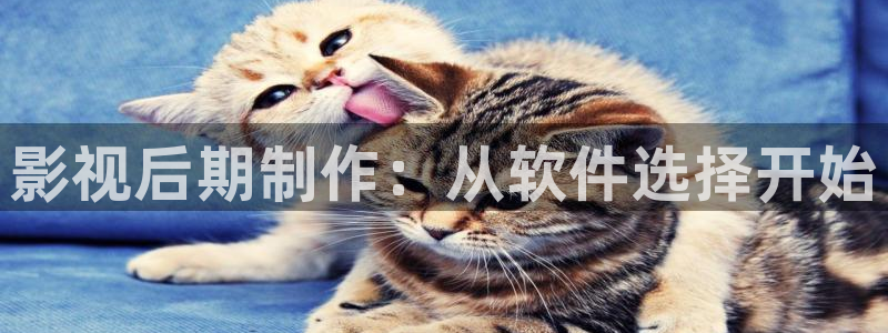 九七年的电影：影视后期制作：从软件选择开始