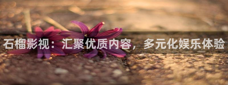 九七电影手机网：石榴影视：汇聚优质内容，多元化娱乐体验