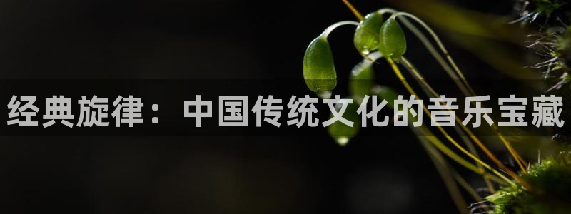 九七电影网午夜：经典旋律：中国传统文化的音乐宝藏