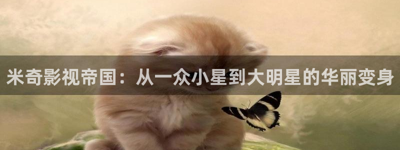 九七电影院韩国：米奇影视帝国：从一众小星到大明星的华丽变身