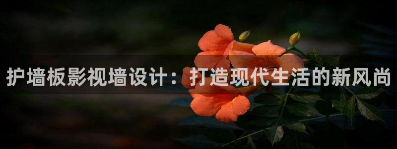 九七电影院5jng西虹市首富：护墙板影视墙设计：打造现代生活的新风尚